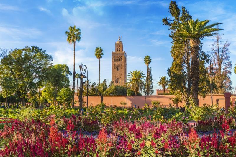 Appartement Bonheur Partagé à Marrakesh Extérieur photo